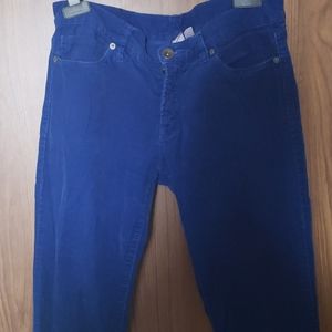 Corduroy blue pant